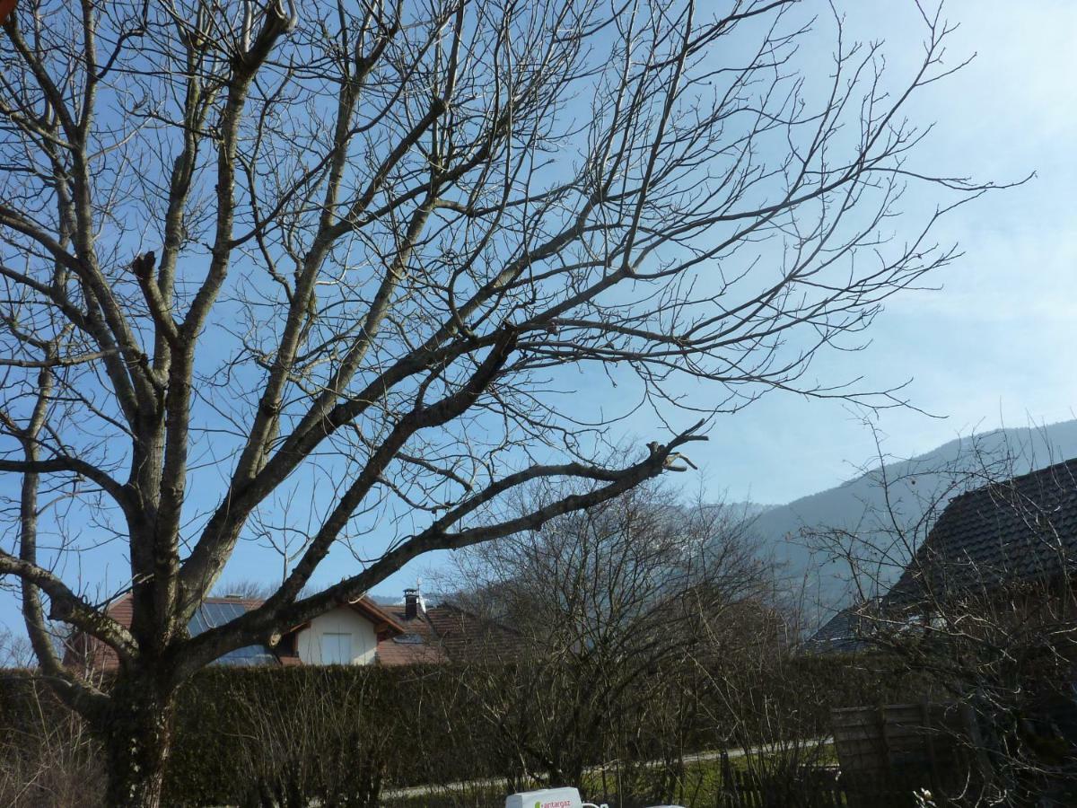 Studio 30 M2 Jardinet 10Minutes Annecy Villa Naves-Parmelan Bagian luar foto